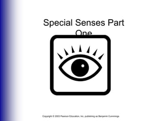 Special Senses Part One  Copyright © 2003 Pearson Education, Inc. publishing as Benjamin Cummings 