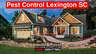 Pest Control Lexington SC
 
