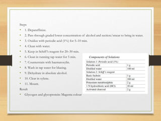 Steps
• 1. Deparaffinize.
• 2. Pass through graded lower concentration of alcohol and section/smear to bring in water.
• 3. Oxidize with periodic acid (1%) for 5–10 min.
• 4. Clean with water.
• 5. Keep in Schiff’s reagent for 20–30 min.
• 6. Clean in running tap water for 5 min.
• 7. Counterstain with haematoxylin.
• 8. Wash in tap water for blueing.
• 9. Dehydrate in absolute alcohol.
• 10. Clear in xylene.
• 11. Mount.
Result
• Glycogen and glycoprotein: Magenta colour
 
