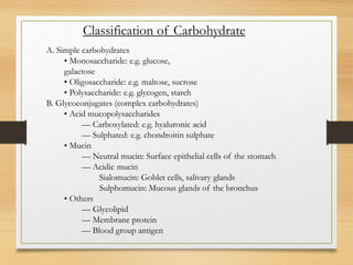 A. Simple carbohydrates
• Monosaccharide: e.g. glucose,
galactose
• Oligosaccharide: e.g. maltose, sucrose
• Polysaccharide: e.g. glycogen, starch
B. Glycoconjugates (complex carbohydrates)
• Acid mucopolysaccharides
–– Carboxylated: e.g. hyaluronic acid
–– Sulphated: e.g. chondroitin sulphate
• Mucin
–– Neutral mucin: Surface epithelial cells of the stomach
–– Acidic mucin
Sialomucin: Goblet cells, salivary glands
Sulphomucin: Mucous glands of the bronchus
• Others
–– Glycolipid
–– Membrane protein
–– Blood group antigen
Classification of Carbohydrate
 