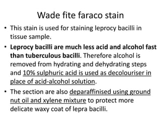 Wade fite faraco stain
• This stain is used for staining leprocy bacilli in
tissue sample.
• Leprocy bacilli are much less acid and alcohol fast
than tuberculous bacilli. Therefore alcohol is
removed from hydrating and dehydrating steps
and 10% sulphuric acid is used as decolouriser in
place of acid-alcohol solution.
• The section are also deparaffinised using ground
nut oil and xylene mixture to protect more
delicate waxy coat of lepra bacilli.
 