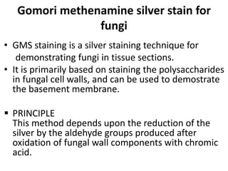Gomori methenamine silver stain for
fungi
• GMS staining is a silver staining technique for
demonstrating fungi in tissue sections.
• It is primarily based on staining the polysaccharides
in fungal cell walls, and can be used to demostrate
the basement membrane.
 PRINCIPLE
This method depends upon the reduction of the
silver by the aldehyde groups produced after
oxidation of fungal wall components with chromic
acid.
 