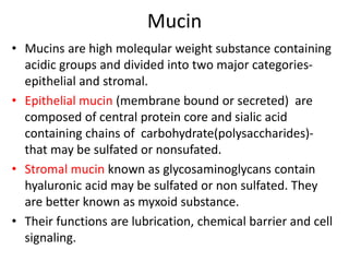 Mucin
• Mucins are high moleqular weight substance containing
acidic groups and divided into two major categories-
epithelial and stromal.
• Epithelial mucin (membrane bound or secreted) are
composed of central protein core and sialic acid
containing chains of carbohydrate(polysaccharides)-
that may be sulfated or nonsufated.
• Stromal mucin known as glycosaminoglycans contain
hyaluronic acid may be sulfated or non sulfated. They
are better known as myxoid substance.
• Their functions are lubrication, chemical barrier and cell
signaling.
 