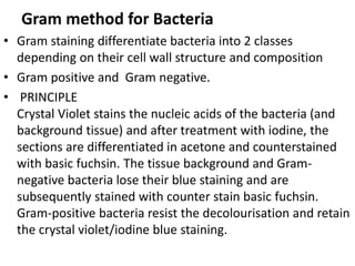 Gram method for Bacteria
• Gram staining differentiate bacteria into 2 classes
depending on their cell wall structure and composition
• Gram positive and Gram negative.
• PRINCIPLE
Crystal Violet stains the nucleic acids of the bacteria (and
background tissue) and after treatment with iodine, the
sections are differentiated in acetone and counterstained
with basic fuchsin. The tissue background and Gram-
negative bacteria lose their blue staining and are
subsequently stained with counter stain basic fuchsin.
Gram-positive bacteria resist the decolourisation and retain
the crystal violet/iodine blue staining.
 