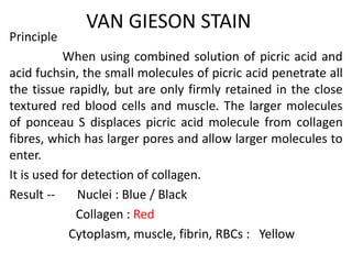 VAN GIESON STAIN
Principle
When using combined solution of picric acid and
acid fuchsin, the small molecules of picric acid penetrate all
the tissue rapidly, but are only firmly retained in the close
textured red blood cells and muscle. The larger molecules
of ponceau S displaces picric acid molecule from collagen
fibres, which has larger pores and allow larger molecules to
enter.
It is used for detection of collagen.
Result -- Nuclei : Blue / Black
Collagen : Red
Cytoplasm, muscle, fibrin, RBCs : Yellow
 