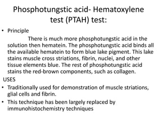 Phosphotungstic acid- Hematoxylene
test (PTAH) test:
• Principle
There is much more phosphotungstic acid in the
solution then hematein. The phosphotungstic acid binds all
the available hematein to form blue lake pigment. This lake
stains muscle cross striations, fibrin, nuclei, and other
tissue elements blue. The rest of phosphotungstic acid
stains the red-brown components, such as collagen.
USES
• Traditionally used for demonstration of muscle striations,
glial cells and fibrin.
• This technique has been largely replaced by
immunohistochemistry techniques
 