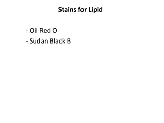 Stains for Lipid
- Oil Red O
- Sudan Black B
 