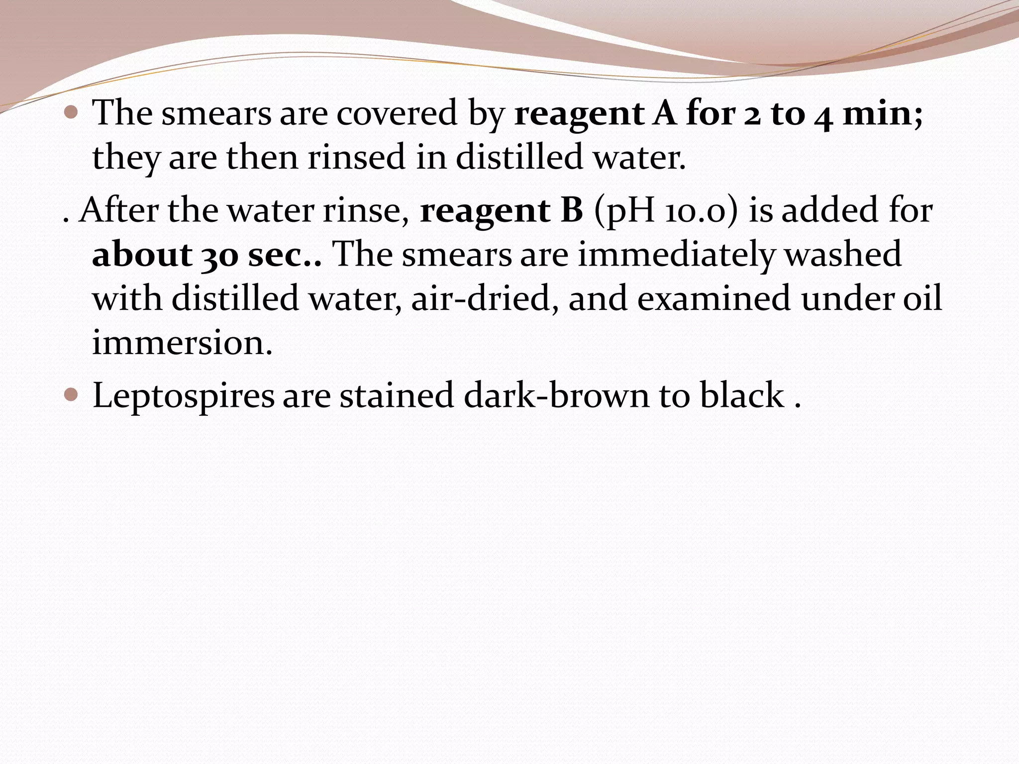  The smears are covered by reagent A for 2 to 4 min;
they are then rinsed in distilled water.
. After the water rinse, reagent B (pH 10.0) is added for
about 30 sec.. The smears are immediately washed
with distilled water, air-dried, and examined under oil
immersion.
 Leptospires are stained dark-brown to black .
 