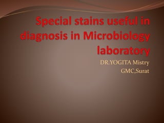 DR.YOGITA Mistry
GMC,Surat
 