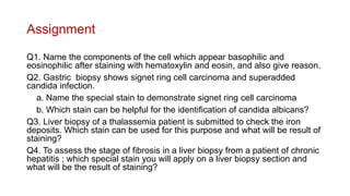 Assignment
Q1. Name the components of the cell which appear basophilic and
eosinophilic after staining with hematoxylin and eosin, and also give reason.
Q2. Gastric biopsy shows signet ring cell carcinoma and superadded
candida infection.
a. Name the special stain to demonstrate signet ring cell carcinoma
b. Which stain can be helpful for the identification of candida albicans?
Q3. Liver biopsy of a thalassemia patient is submitted to check the iron
deposits. Which stain can be used for this purpose and what will be result of
staining?
Q4. To assess the stage of fibrosis in a liver biopsy from a patient of chronic
hepatitis ; which special stain you will apply on a liver biopsy section and
what will be the result of staining?
 