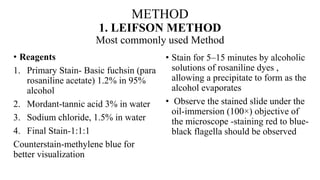 METHOD
1. LEIFSON METHOD
Most commonly used Method
• Reagents
1. Primary Stain- Basic fuchsin (para
rosaniline acetate) 1.2% in 95%
alcohol
2. Mordant-tannic acid 3% in water
3. Sodium chloride, 1.5% in water
4. Final Stain-1:1:1
Counterstain-methylene blue for
better visualization
• Stain for 5–15 minutes by alcoholic
solutions of rosaniline dyes ,
allowing a precipitate to form as the
alcohol evaporates
• Observe the stained slide under the
oil-immersion (100×) objective of
the microscope -staining red to blue-
black flagella should be observed
 