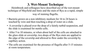 3. Wet-Mount Technique
Heimbrook and colleagues have described use of the wet-mount
technique of Mayfield and Innis and the stain of Ryu as a rapid, simple
way of staining flagella.
• Bacteria grown on a non inhibitory medium for 16 to 24 hours is
touched by wire and then touching a drop of water on a slide.
• A coverslip is placed over the drop of a faintly turbid suspension, and
the slide is examined for motile cells.
• After 5 to 10 minutes, or when about half of the cells are attached to
the glass slide or coverslip, two drops of the Ryu stain are applied to
the edge of the coverslip and allowed to flow under the coverslip by
capillary action.
• The cells are examined for the presence of flagella after 5-15 minutes
at room temperature.
 