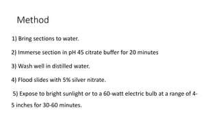 Method
1) Bring sections to water.
2) Immerse section in pH 45 citrate buffer for 20 minutes
3) Wash well in distilled water.
4) Flood slides with 5% silver nitrate.
5) Expose to bright sunlight or to a 60-watt electric bulb at a range of 4-
5 inches for 30-60 minutes.
 