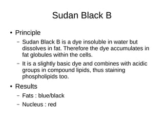Sudan Black B
● Principle
– Sudan Black B is a dye insoluble in water but
dissolves in fat. Therefore the dye accumulates in
fat globules within the cells.
– It is a slightly basic dye and combines with acidic
groups in compound lipids, thus staining
phospholipids too.
● Results
– Fats : blue/black
– Nucleus : red
 