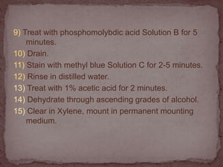9) Treat with phosphomolybdic acid Solution B for 5
minutes.
10) Drain.
11) Stain with methyl blue Solution C for 2-5 minutes.
12) Rinse in distilled water.
13) Treat with 1% acetic acid for 2 minutes.
14) Dehydrate through ascending grades of alcohol.
15) Clear in Xylene, mount in permanent mounting
medium.
 