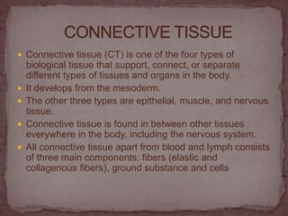  Connective tissue (CT) is one of the four types of
biological tissue that support, connect, or separate
different types of tissues and organs in the body.
 It develops from the mesoderm.
 The other three types are epithelial, muscle, and nervous
tissue.
 Connective tissue is found in between other tissues
everywhere in the body, including the nervous system.
 All connective tissue apart from blood and lymph consists
of three main components: fibers (elastic and
collagenous fibers), ground substance and cells
 