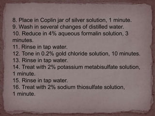 8. Place in Coplin jar of silver solution, 1 minute.
9. Wash in several changes of distilled water.
10. Reduce in 4% aqueous formalin solution, 3
minutes.
11. Rinse in tap water.
12. Tone in 0.2% gold chloride solution, 10 minutes.
13. Rinse in tap water.
14. Treat with 2% potassium metabisulfate solution,
1 minute.
15. Rinse in tap water.
16. Treat with 2% sodium thiosulfate solution,
1 minute.
 