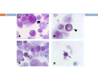 Special Stains In Cytology