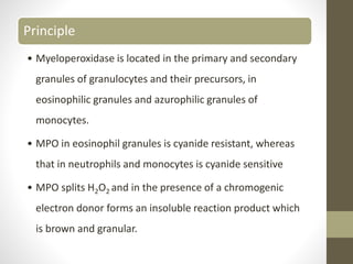 Granulocyte Defect H2o2 Special stains in hematology | PPTX