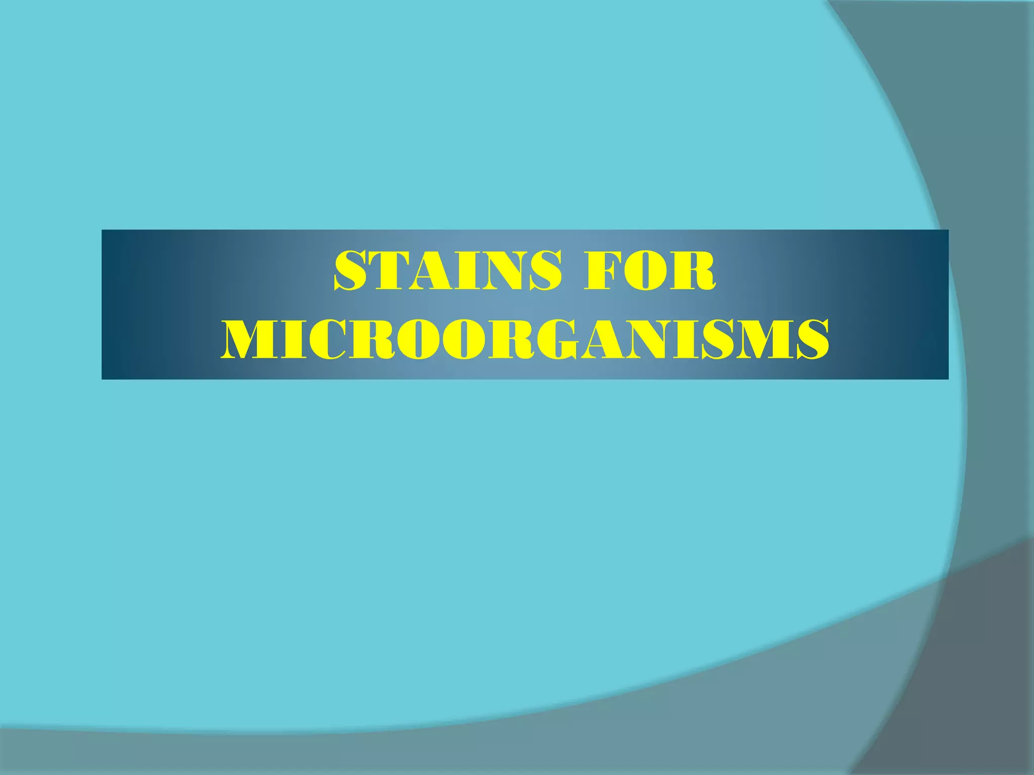 STAINS FOR
MICROORGANISMS
 