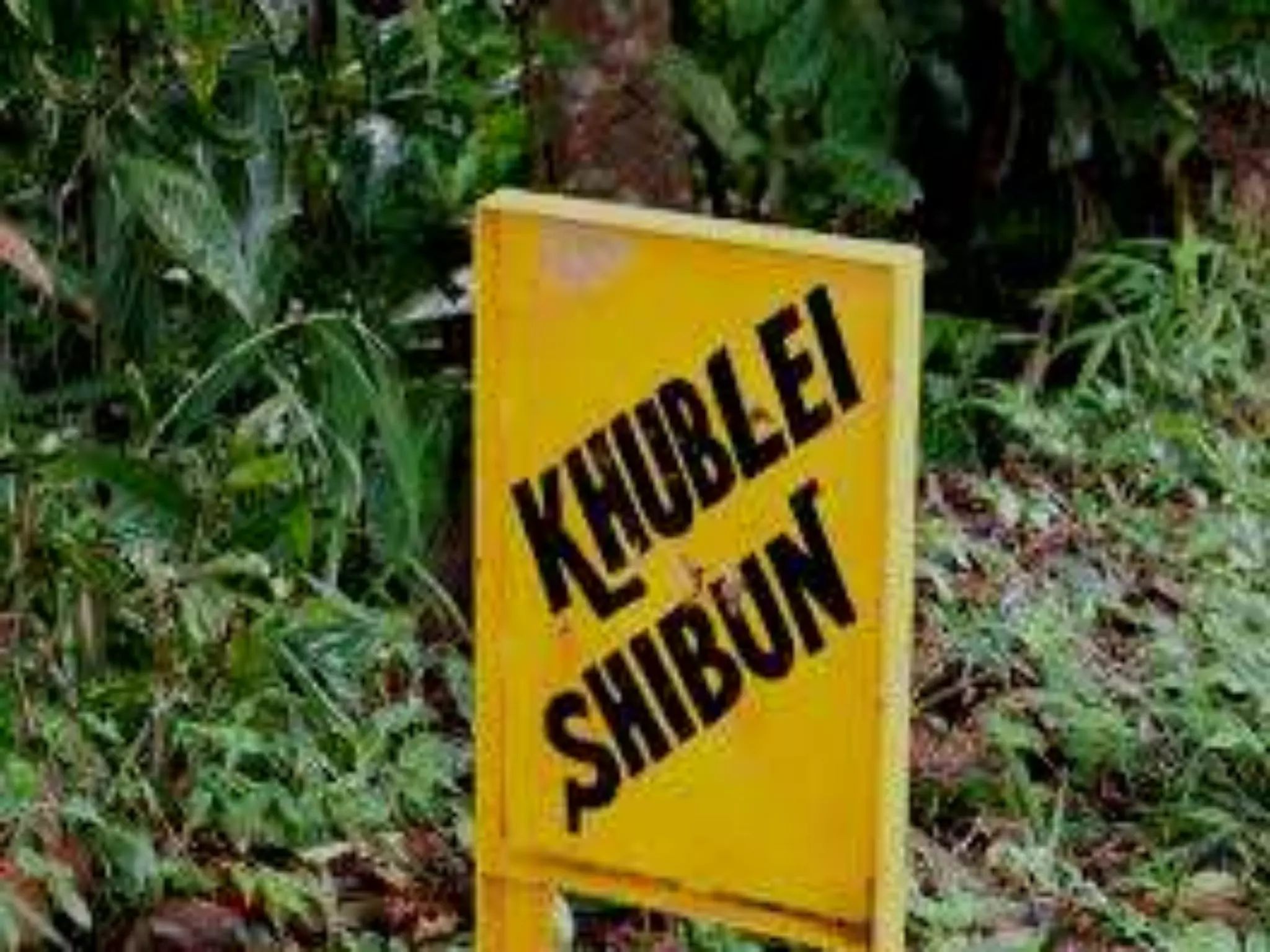 Special stains in histopathology