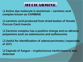 MUCICARMINE
 Active dye molecule is aluminium – carminic acid
complex known as CARMINE
 carminic acid produced from dried bodies of female
Coccus Cacti insects
 Carmine complex has a positive charge and so attracts
polyanions such as sialomucins and sulfomucins
 Useful for identification of adenocarcinoma ( especially
of GIT)
 Capsule of fungus – cryptococcus neoformans is also
detected
 
