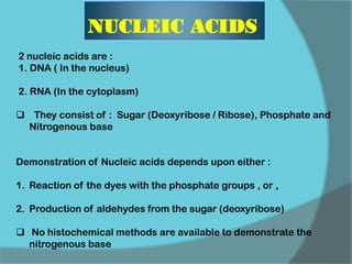 NUCLEIC ACIDS
2 nucleic acids are :
1. DNA ( In the nucleus)
2. RNA (In the cytoplasm)
 They consist of : Sugar (Deoxyribose / Ribose), Phosphate and
Nitrogenous base
Demonstration of Nucleic acids depends upon either :
1. Reaction of the dyes with the phosphate groups , or ,
2. Production of aldehydes from the sugar (deoxyribose)
 No histochemical methods are available to demonstrate the
nitrogenous base
 
