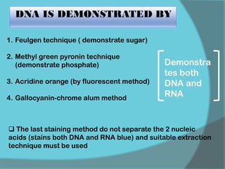 1. Feulgen technique ( demonstrate sugar)
2. Methyl green pyronin technique
(demonstrate phosphate)
3. Acridine orange (by fluorescent method)
4. Gallocyanin-chrome alum method
Demonstra
tes both
DNA and
RNA
 The last staining method do not separate the 2 nucleic
acids (stains both DNA and RNA blue) and suitable extraction
technique must be used
DNA IS DEMONSTRATED BY
 