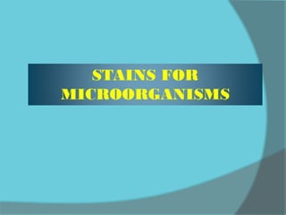 STAINS FOR
MICROORGANISMS
 