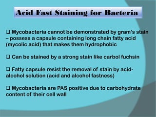Acid Fast Staining for Bacteria
 Mycobacteria cannot be demonstrated by gram’s stain
– possess a capsule containing long chain fatty acid
(mycolic acid) that makes them hydrophobic
 Can be stained by a strong stain like carbol fuchsin
 Fatty capsule resist the removal of stain by acid-
alcohol solution (acid and alcohol fastness)
 Mycobacteria are PAS positive due to carbohydrate
content of their cell wall
 