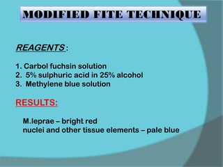 MODIFIED FITE TECHNIQUE
REAGENTS :
1. Carbol fuchsin solution
2. 5% sulphuric acid in 25% alcohol
3. Methylene blue solution
RESULTS:
M.leprae – bright red
nuclei and other tissue elements – pale blue
 