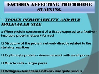 FACTORS AFFECTING TRICHROME
STAINING
1. TISSUE PERMEABILITY AND DYE
MOLECULAR SIZE
 When protein component of a tissue exposed to a fixative –
insoluble protein network formed
 Structure of the protein network directly related to the
staining reactions
 Erythrocyte protein – dense network with small pores
 Muscle cells – larger pores
 Collagen – least dense network and quite porous
 