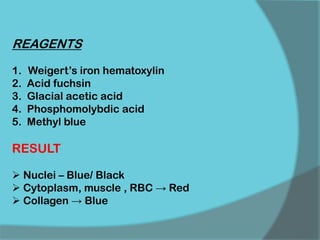 REAGENTS
1. Weigert’s iron hematoxylin
2. Acid fuchsin
3. Glacial acetic acid
4. Phosphomolybdic acid
5. Methyl blue
RESULT
 Nuclei – Blue/ Black
 Cytoplasm, muscle , RBC → Red
 Collagen → Blue
 