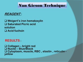 Van Gieson Technique
REAGENT :
 Weigert’s iron hematoxylin
 Saturated Picric acid
solution
 Acid fuchsin
RESULTS :
 Collagen – bright red
 Nuclei – Blue/Black
 Cytoplasm, muscle, RBC , elastin , reticulin -
yellow
 