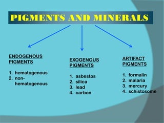 PIGMENTS AND MINERALS
ENDOGENOUS
PIGMENTS
1. hematogenous
2. non-
hematogenous
EXOGENOUS
PIGMENTS
1. asbestos
2. silica
3. lead
4. carbon
ARTIFACT
PIGMENTS
1. formalin
2. malaria
3. mercury
4. schistosome
 