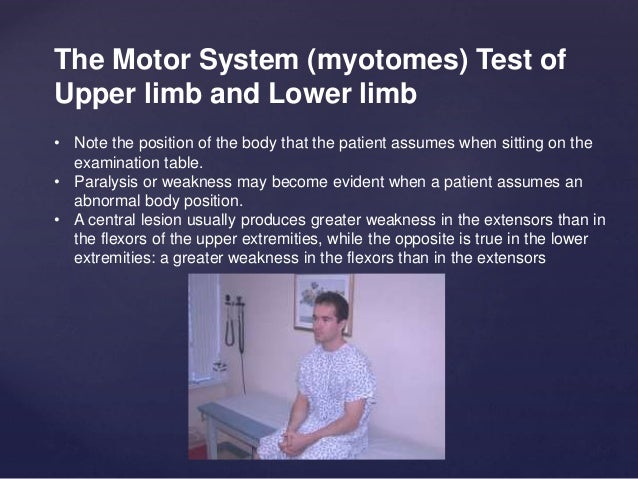special test for dermatomes and myotomes dermatome testing