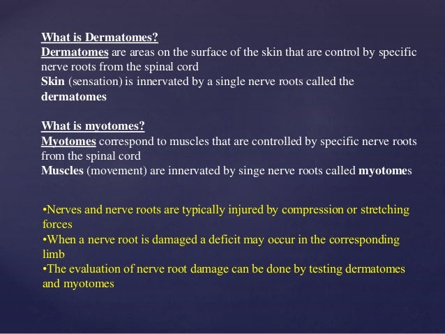 special test for dermatomes and myotomes dermatome testing