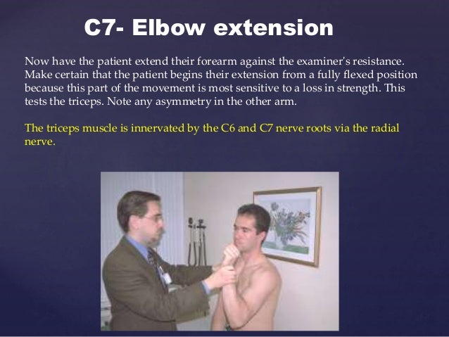 special test for dermatomes and myotomes myotome testing