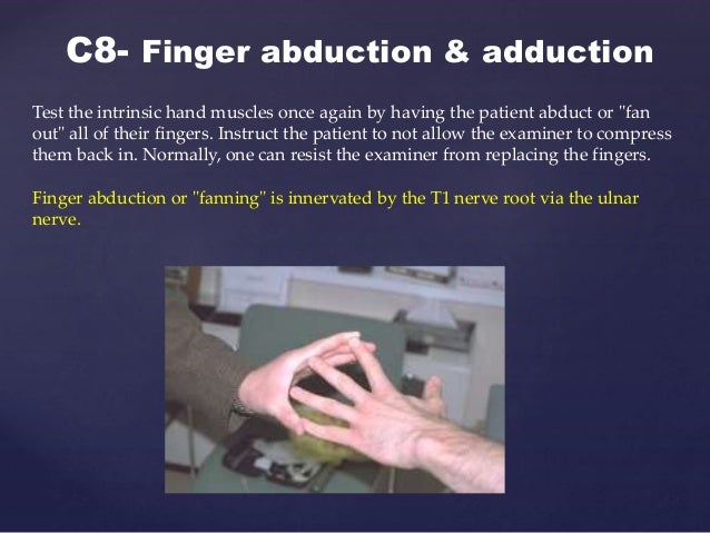 Special test for dermatomes and myotomes