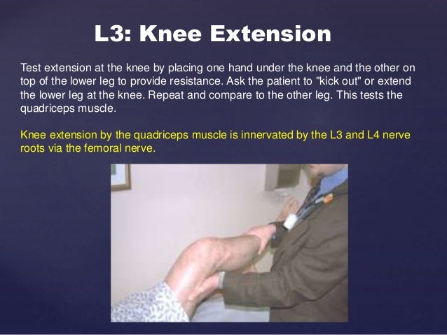 special test for dermatomes and myotomes dermatome testing