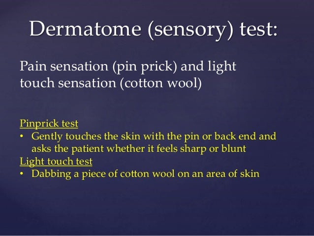 special test for dermatomes and myotomes dermatome testing