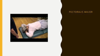 P E C TO R A L I S M A J O R
 
