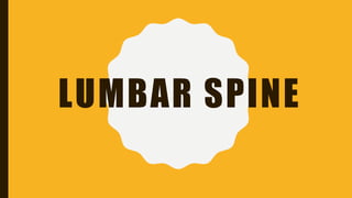 LUMBAR SPINE
 