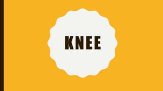 KNEE
 