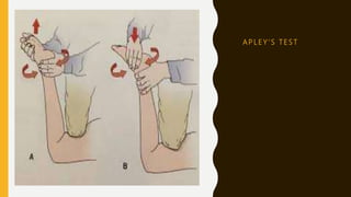 A P L E Y ’ S T E S T
 