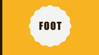 FOOT
 