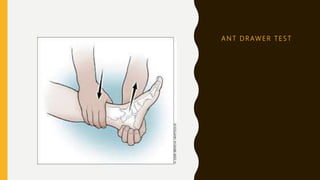 A N T D R AW E R T E S T
 