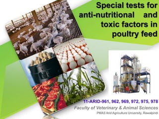 Special tests for
anti-nutritional and
toxic factors in
poultry feed
11-ARID-961, 962, 969, 972, 975, 978
Faculty of Veterinary & Animal Sciences
PMAS Arid Agriculture University, Rawalpindi
 