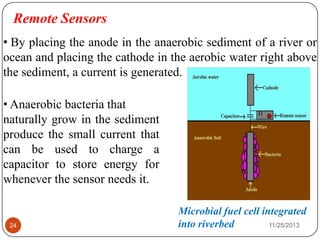 Remote Sensors
• By placing the anode in the anaerobic sediment of a river or
ocean and placing the cathode in the aerobic water right above
the sediment, a current is generated.
• Anaerobic bacteria that
naturally grow in the sediment
produce the small current that
can be used to charge a
capacitor to store energy for
whenever the sensor needs it.
Microbial fuel cell integrated
into riverbed24 11/25/2013
 