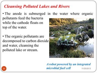 Cleansing Polluted Lakes and Rivers
• The anode is submerged in the water where organic
pollutants feed the bacteria
while the cathode floats on
top of the water.
• The organic pollutants are
decomposed to carbon dioxide
and water, cleansing the
polluted lake or stream.
A robot powered by an integrated
microbial fuel cell25 11/25/2013
 